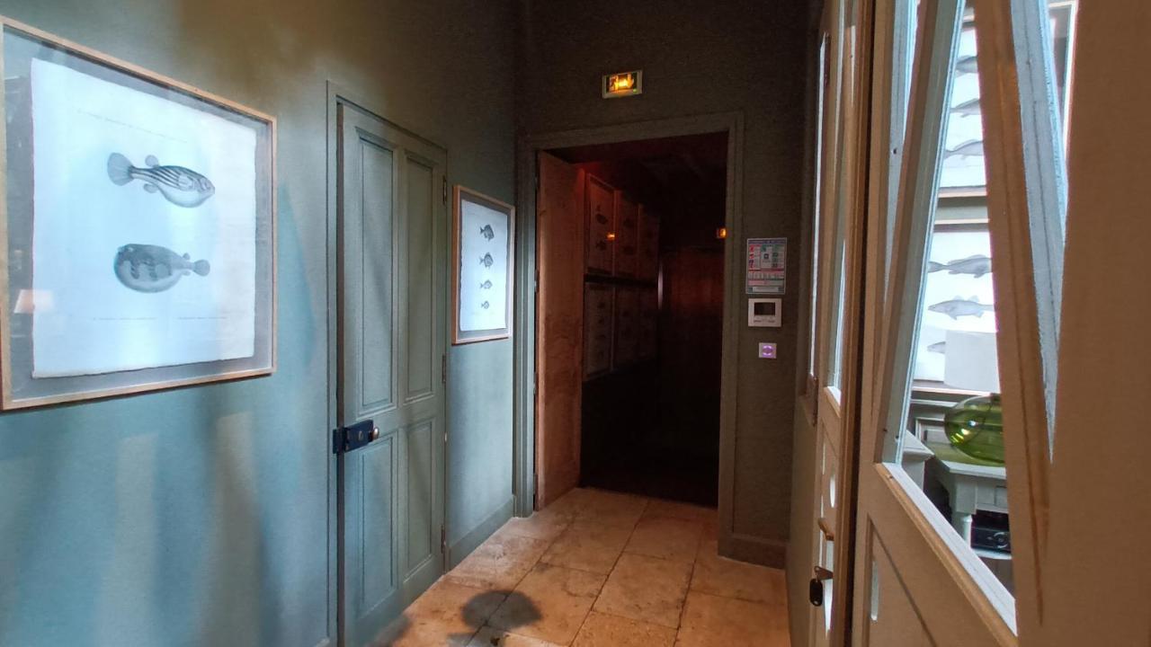 Le Complot : Maison Privee En Plein Coeur D'avignon Ferienhaus *
